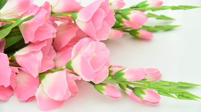 roze bloemen pioenrozen