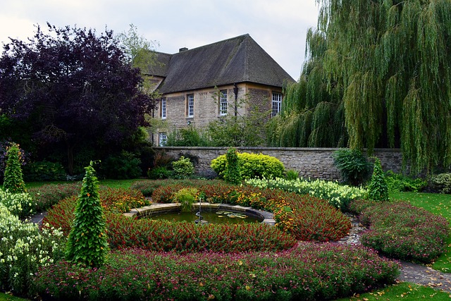 tuin tuinonderhoud